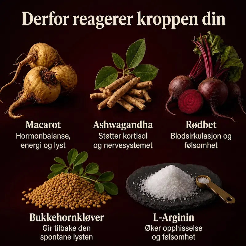 Macarot-kompleks – Hormonell balanse & støtte for lysten hos kvinner